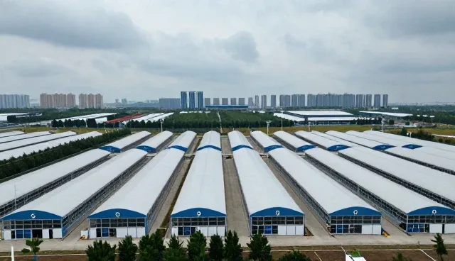 定制开发中常见问题及应对策略
